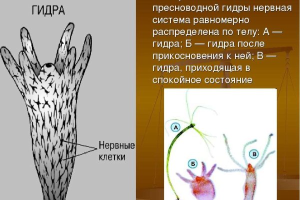 Ссылки на кракен com