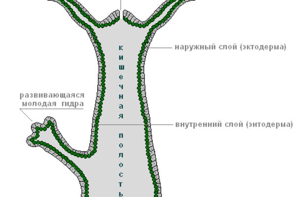 Кракен наркоплощадка